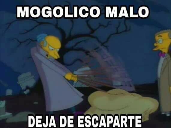 Luchota tweet media