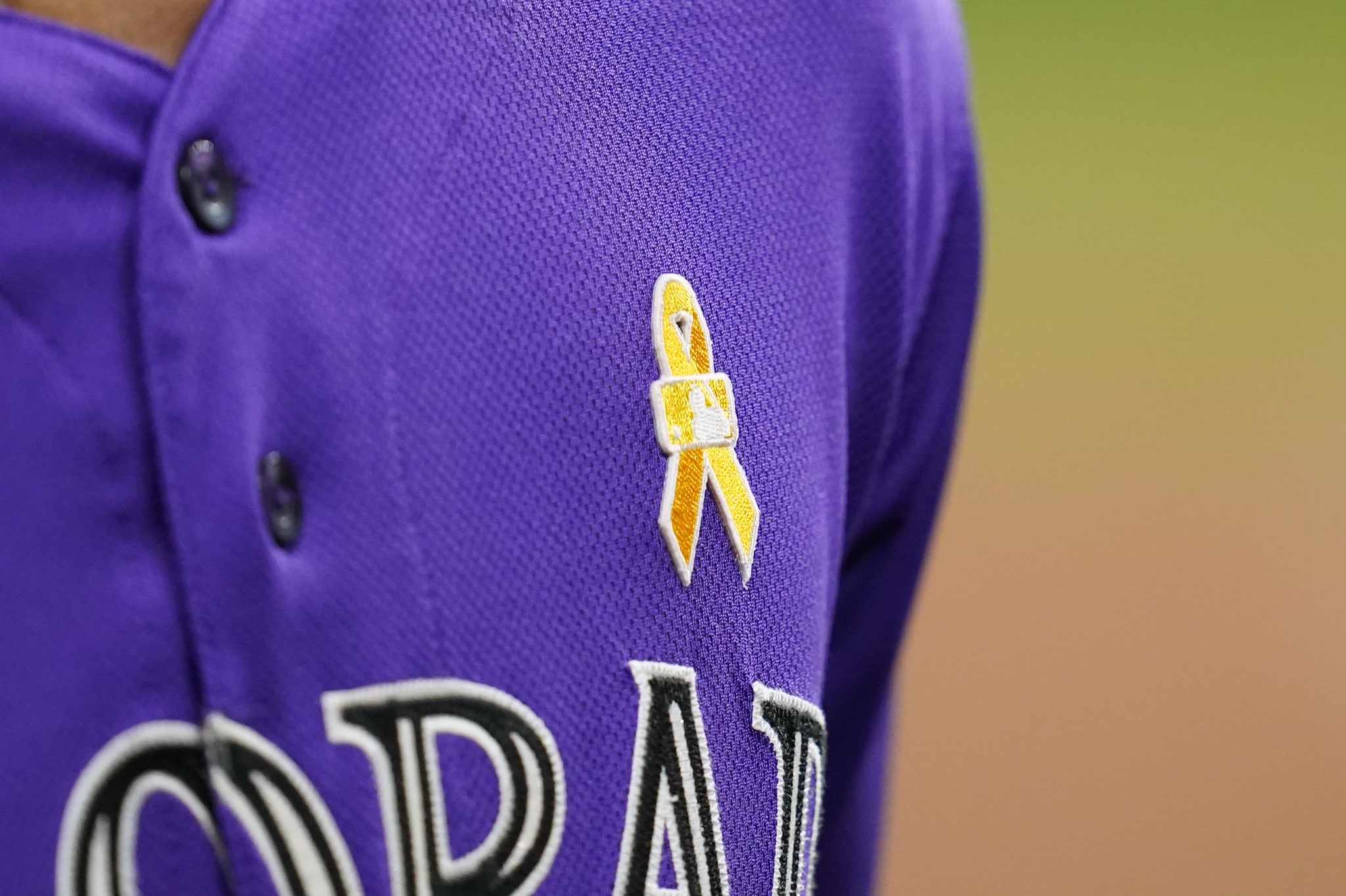 Colorado Rockies Baby Mascot Patch – The Emblem Source