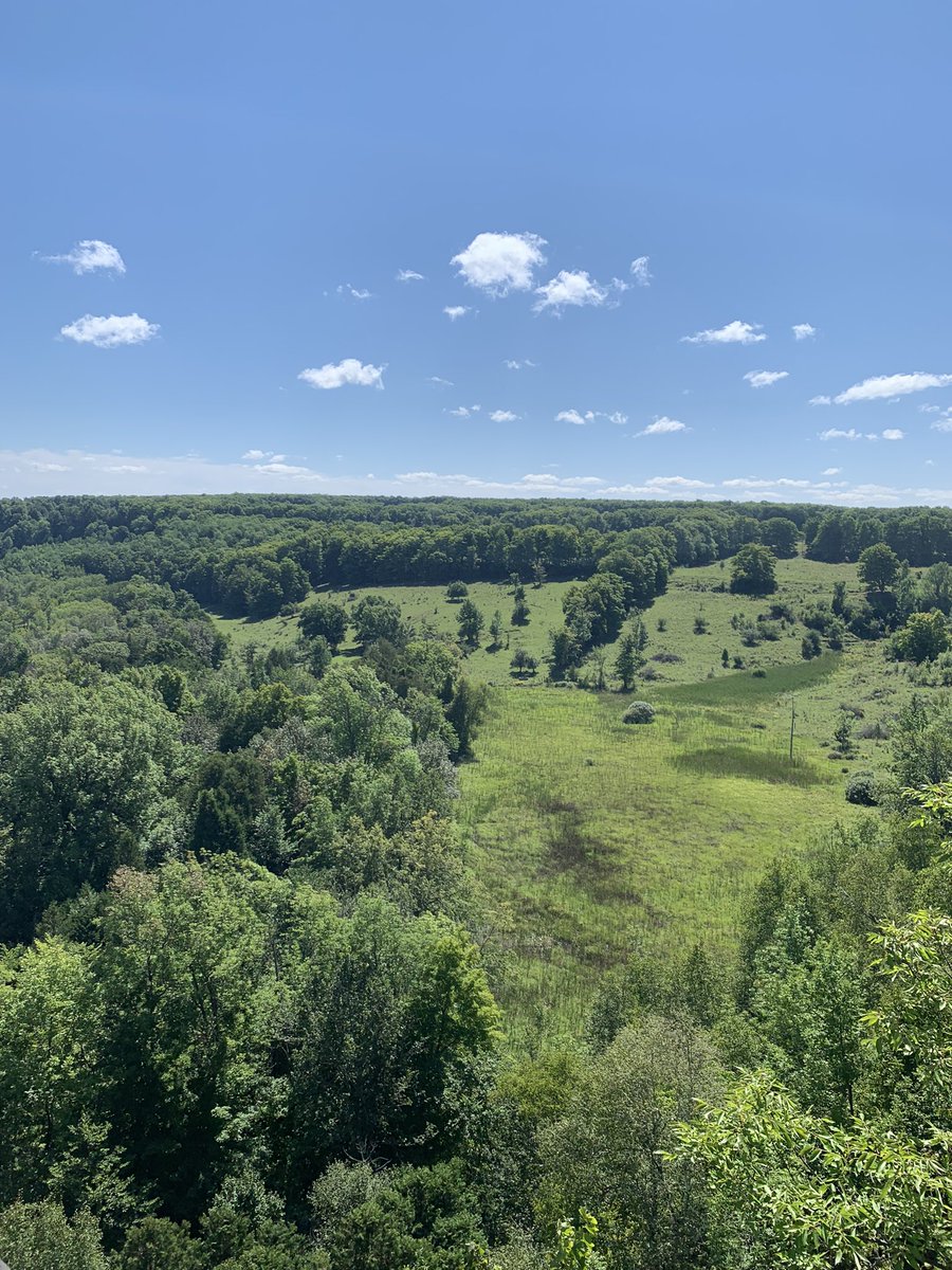 cpugh1999's tweet image. Zoom in to find the cows 🐄 🏞