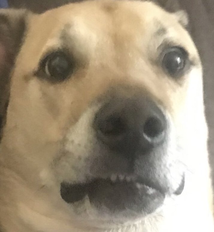 juls (@juliaaconner) on Twitter photo 