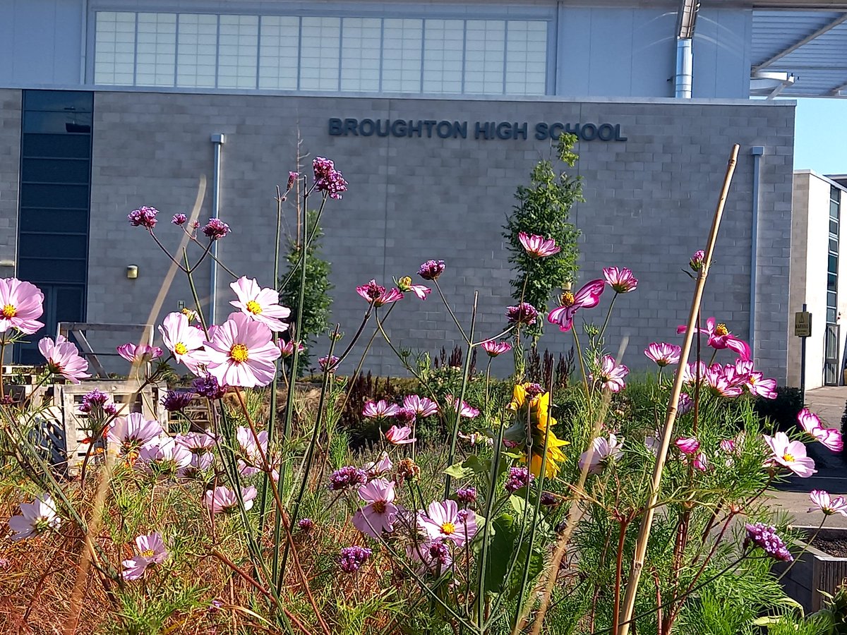 Broughton Wildness tweet media