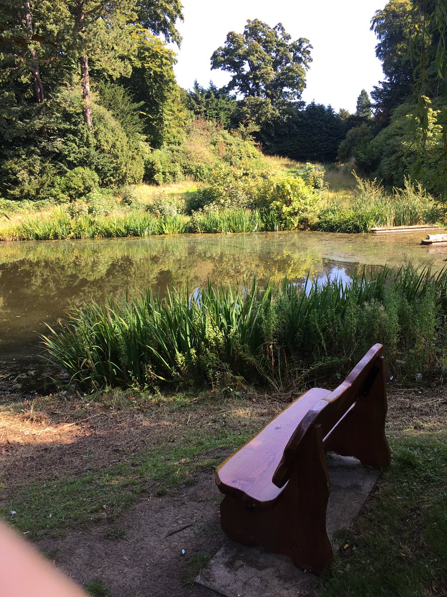 Ann Rae 🏌️‍♀️ tweet media