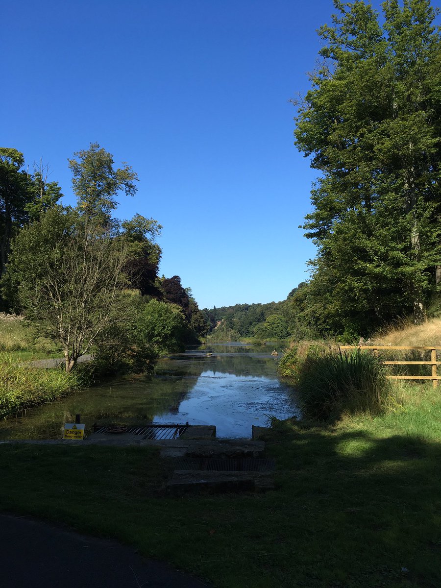 Ann Rae 🏌️‍♀️ tweet media