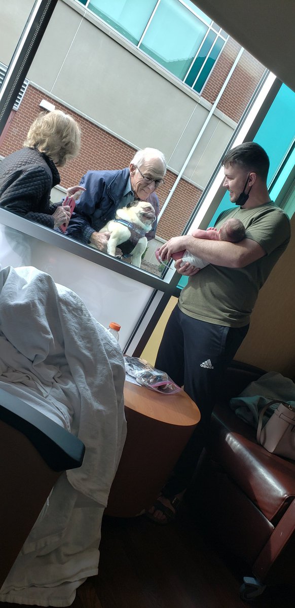 Le están mostrando al nuevo integrante de la familia🥺