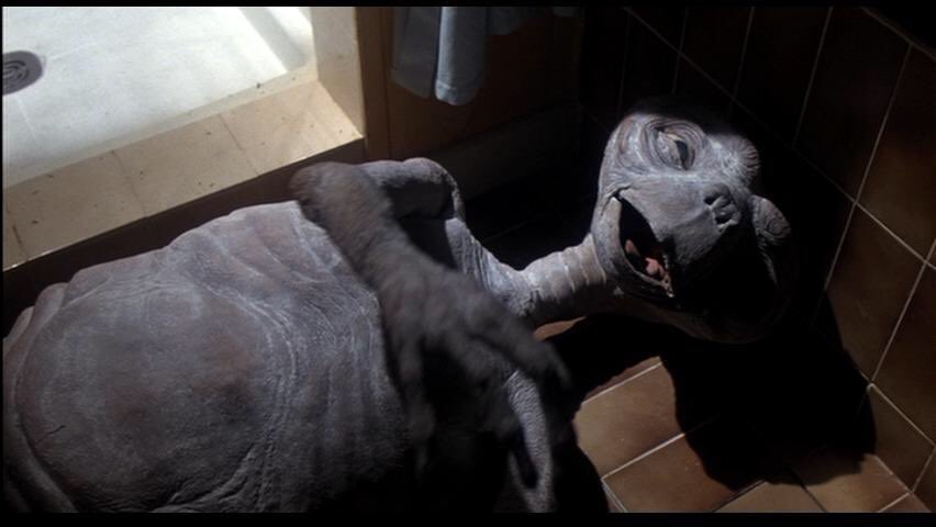 Mike Hanford tweet media