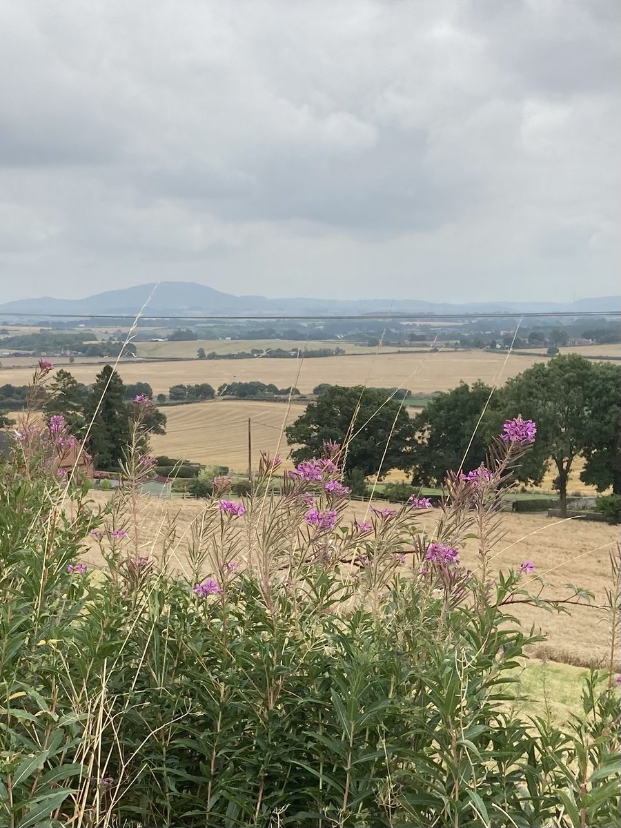 WendyKathrynOwe's tweet photo. A bit grey and hazy but just thankful to still be able to do my favorite walks after #hipreplacement  @mountainsandsky @LetsGoLudlow @wgevans @GraydonRadford @ShropGirlFriday @ShropsHillsDC @ShropsCatRescue @TudorTweep @herdwick_gal @ReadingIsOurPas @ionacrv @ianhsuth https://t.co/KAnbqLrPEf