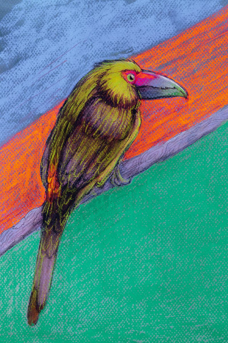 ta-da! "Araçari-Banana" at <a href="/hicetnunc2000/">h</a> 
15 of 20 editions / 1.4 XTZ each
hic.art/253196

Pteroglossus bailloni is bird of the Ramphastidae family (same from the Toucans) found in south-eastern Brazil. Pastel crayons and digital editing.

Respect the nature.