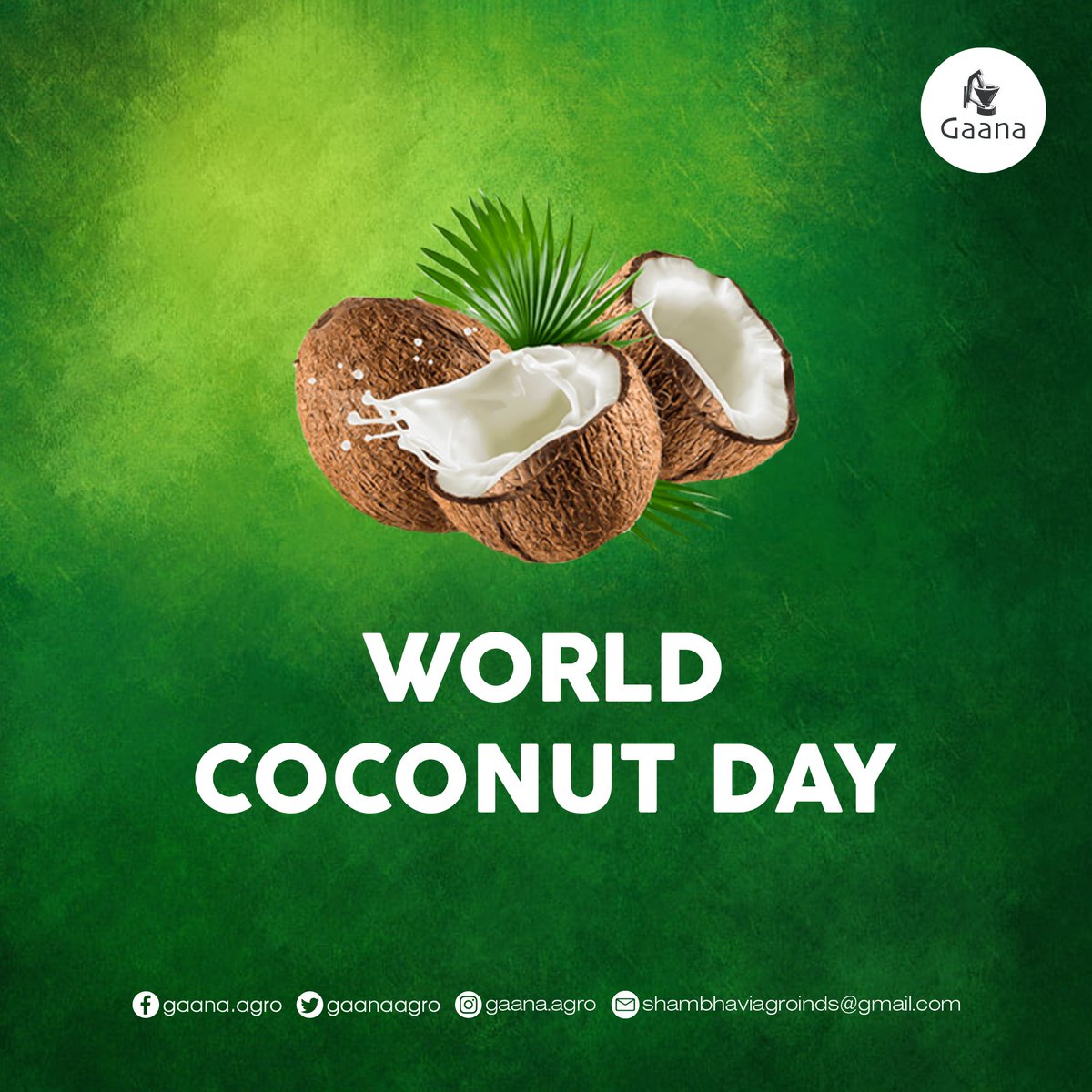 Gaanaagro's tweet photo. World coconut day
#CoconutDay #WorldCoconutDay https://t.co/EEa5R6rzAr