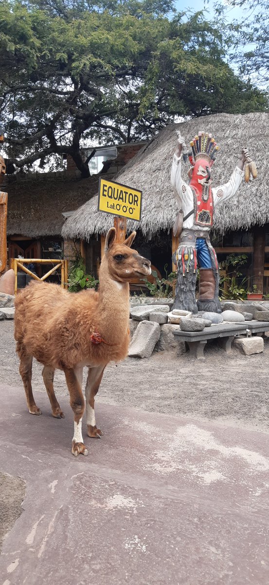 galapagosmyword's tweet image. Middle of the World #Equatorline #Ecuador 
wetravel.com/trips/middle-o…