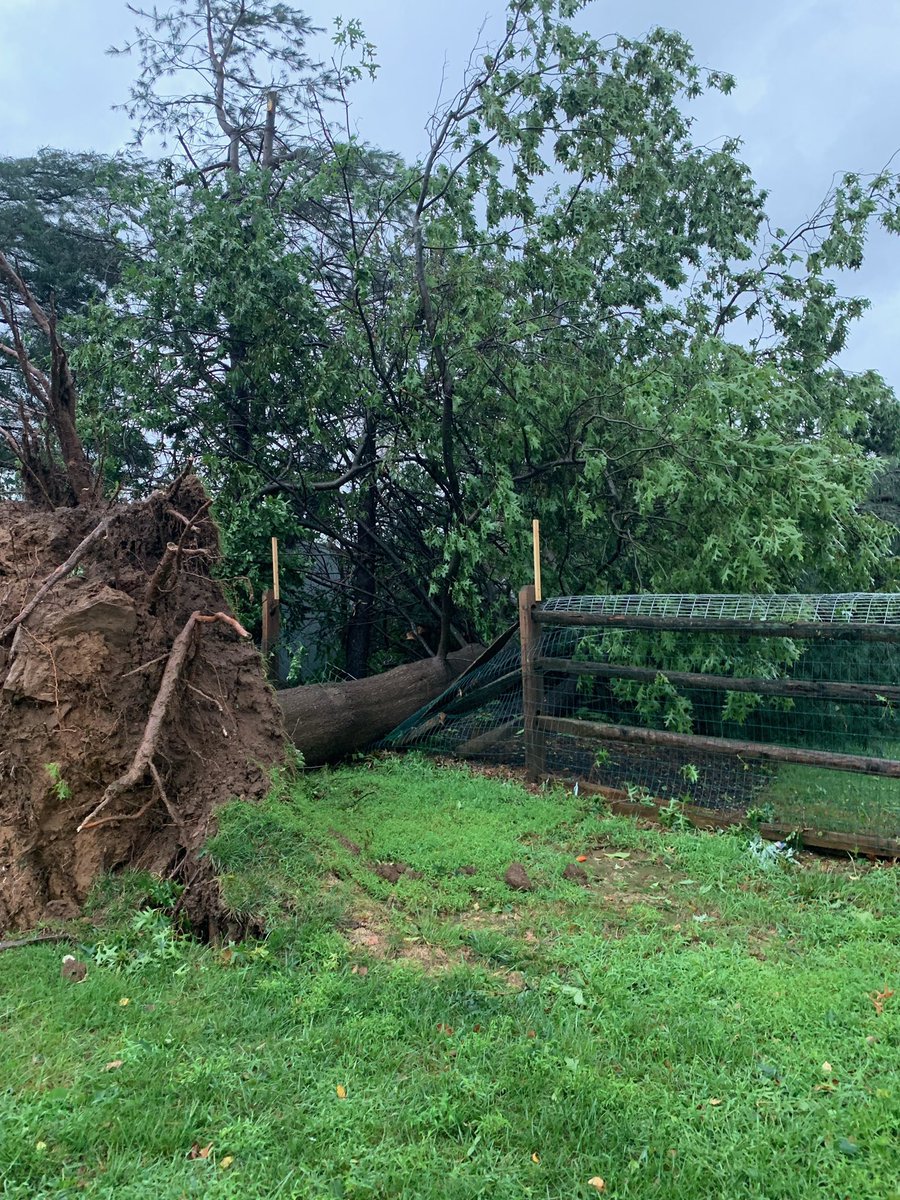 GeorgeSolis's tweet photo. HORSHAM DAMAGE: Preliminary reports from those I’ve been speaking with say damage to homes has been minimal but the storm left a wide spread trail of destruction.

Many are without power. Clean up bound to be extensive.

Images: @stephherb 

@6abc #PaWX #Ida https://t.co/rMxHTuKsVa