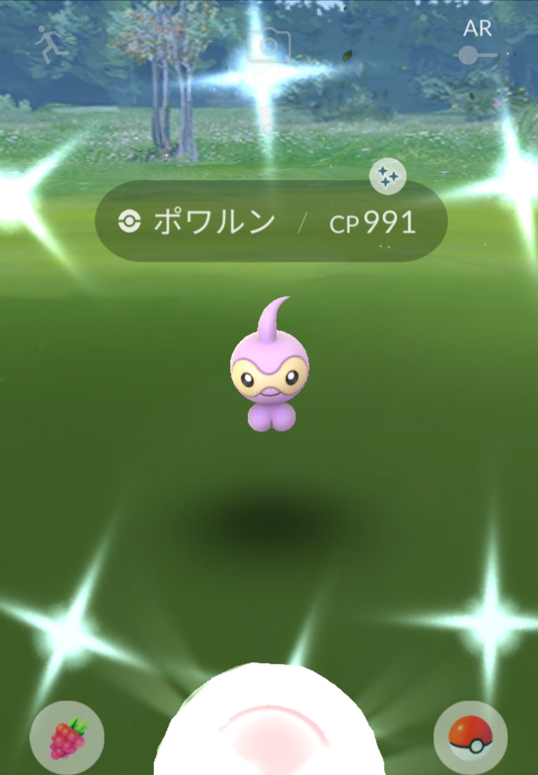 ポワルン色違い Twitter Search Twitter