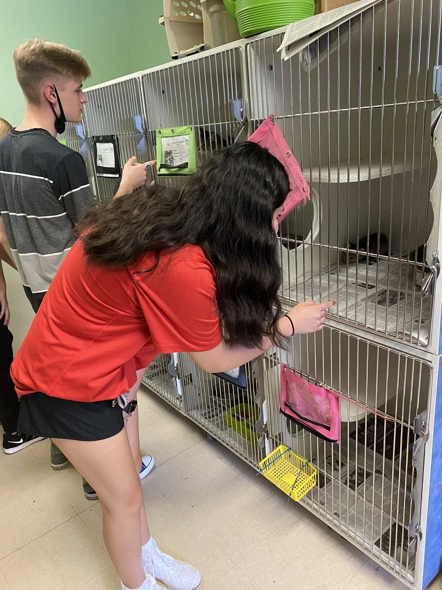 Some of Ms. Parkers vet med practicum class visited Fort Bend Animal Services and have decided to continue volunteering there throughout the year.