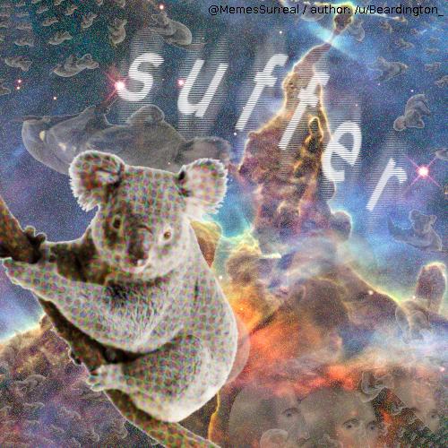 free will is an illusion