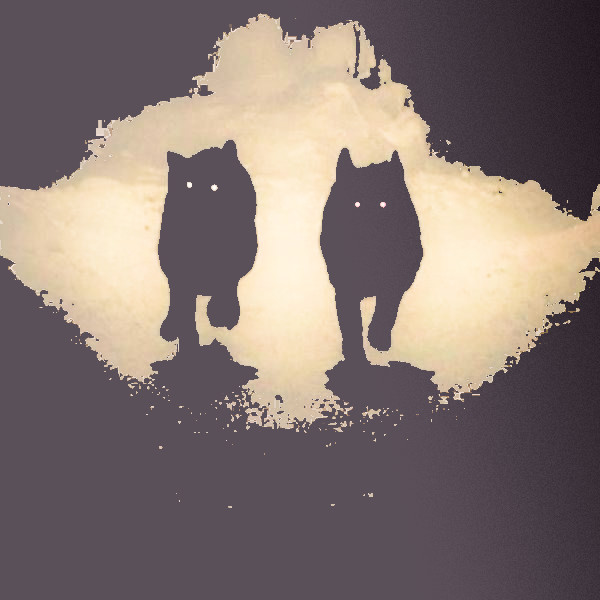 ━━━━━ 𝗠𝗢𝗡𝗢𝗥𝗢𝗟 ━━━━━

        彡 <a href="/LoverSquadTeam/">#𝐋𝐒𝐓｡ ⚠️ 𝐄𝐍 𝐀𝐋𝐄𝐑𝐓𝐀 ⚠️</a> 

𝐋𝐨𝐨𝐤 𝐢𝐧𝐭𝐨 𝐭𝐡𝐞 𝐝𝐚𝐫𝐤𝐧𝐞𝐬𝐬 𝐟𝐨𝐫 𝐚 𝐟𝐞𝐰 𝐦𝐨𝐦𝐞𝐧𝐭𝐬 𝐚𝐧𝐝 𝐲𝐨𝐮 𝐰𝐢𝐥𝐥 𝐛𝐞 𝐚𝐛𝐥𝐞 𝐭𝐨 𝐬𝐞𝐞 𝐰𝐡𝐚𝐭 𝐢𝐬 𝐢𝐧 𝐢𝐭.