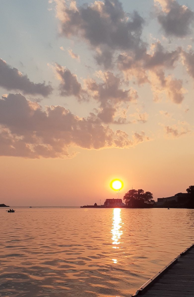 Rene` Diane Aube tweet media