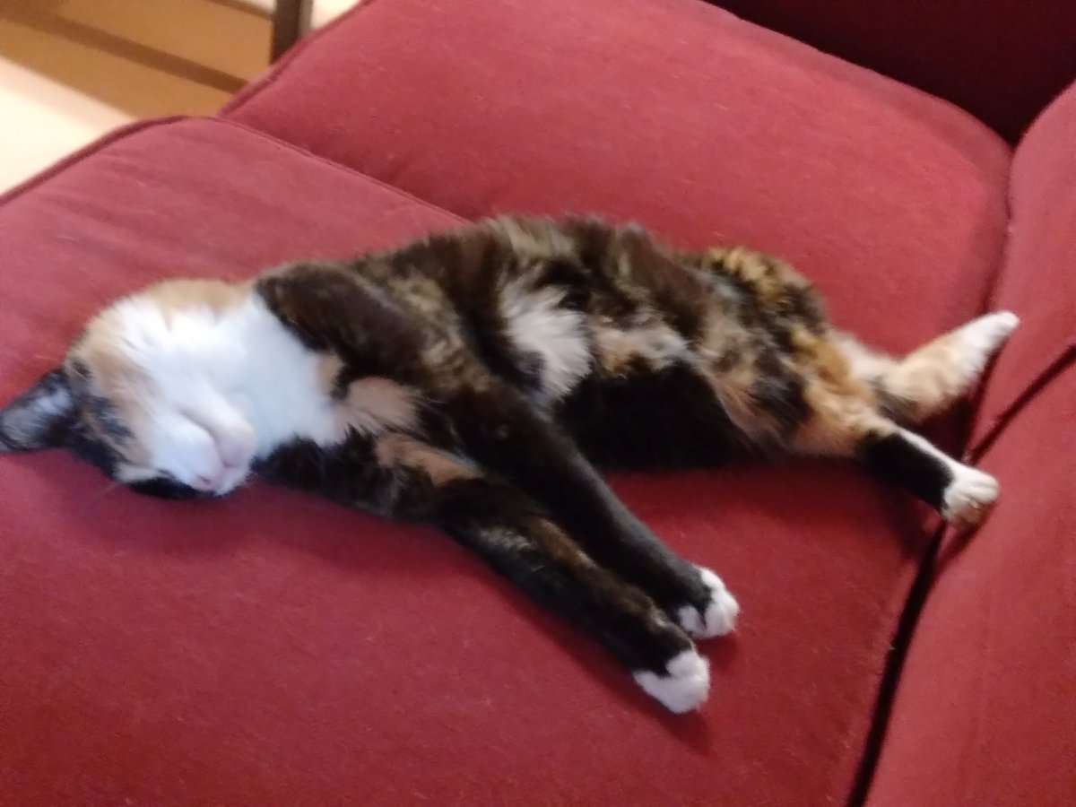 im crying bro why does she sleep like this