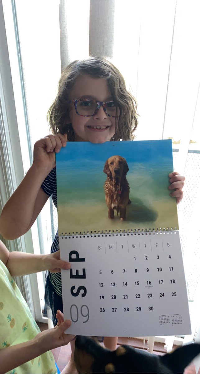 jocelinbhodges's tweet photo. It’s Brooklin’s 8th birthday AND her favorite @TheGoldenRatio4 dog is the picture for September! https://t.co/YTCXvgjIpe