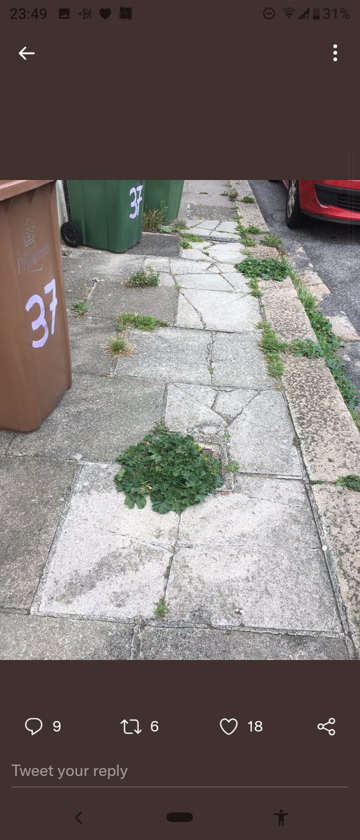 BettyBunny23's tweet photo. @CouncillorTudor Like your lot did any better!
In fact they were probably in situ when you got booted out in May. Same can probably be said for much of the graffiti, litter & fly tipped items in & around our tired & dirty looking City. You're all as bad as each other.
#Weeeeed #Labour #Plymouth https://t.co/f9r76PSfP1