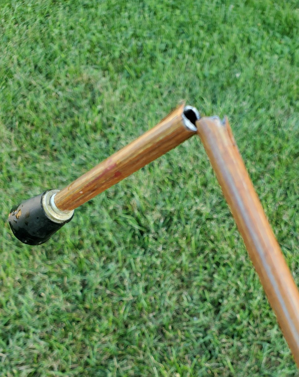 A Little Mouse With a Little Bow tweet media