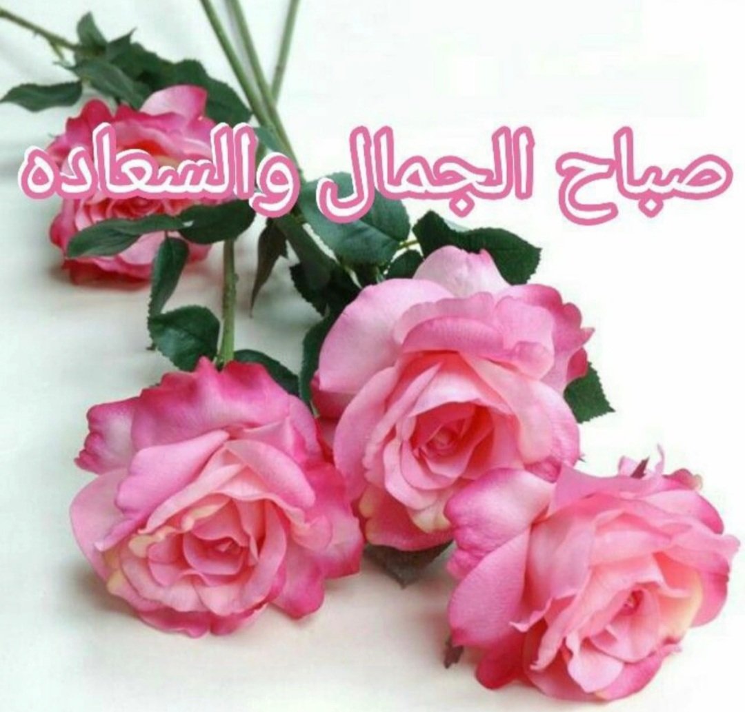 unseon's tweet photo. @EldoradoSA روعه بحق تفووز وش حلاتهن البنيات يرقصن https://t.co/AgzACloC5Y