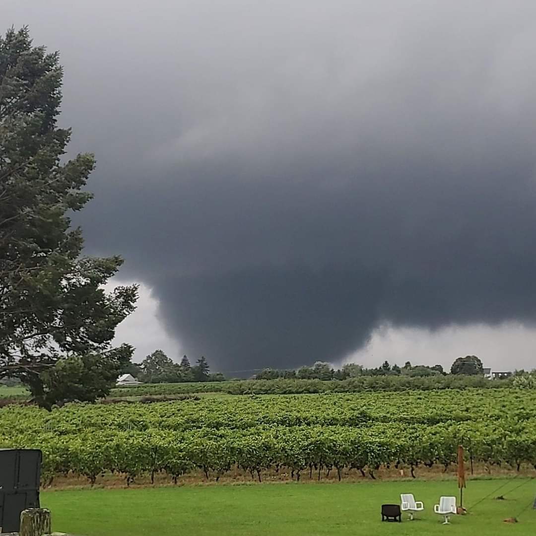 Steve Roth tweet media