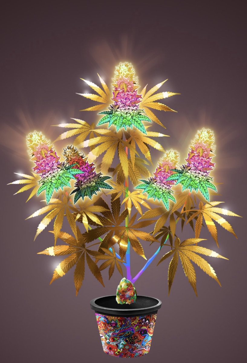 Get ready to buy, sell, and collect your favorite plants September 9th. 💨  #CCC #CryptoCannabisClub #tokerfollowtoker #nft #NFTs #NFTCommunity  #NFTcollection