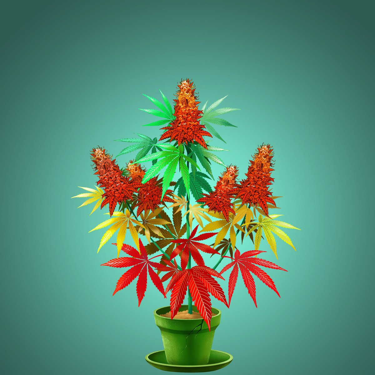 CryptoCannaClub's tweet photo. Get ready to buy, sell, and collect your favorite plants

September 9th. 💨

#CCC #CryptoCannabisClub #tokerfollowtoker #nft #NFTs #NFTCommunity #NFTcollection https://t.co/bA7KF0rklM