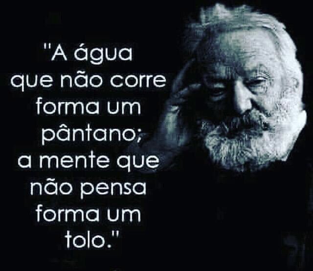 sandra binotti tweet media