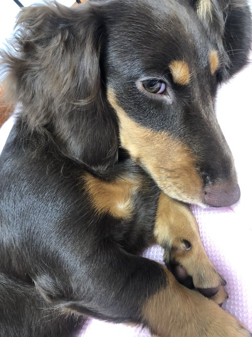 おはようございます 