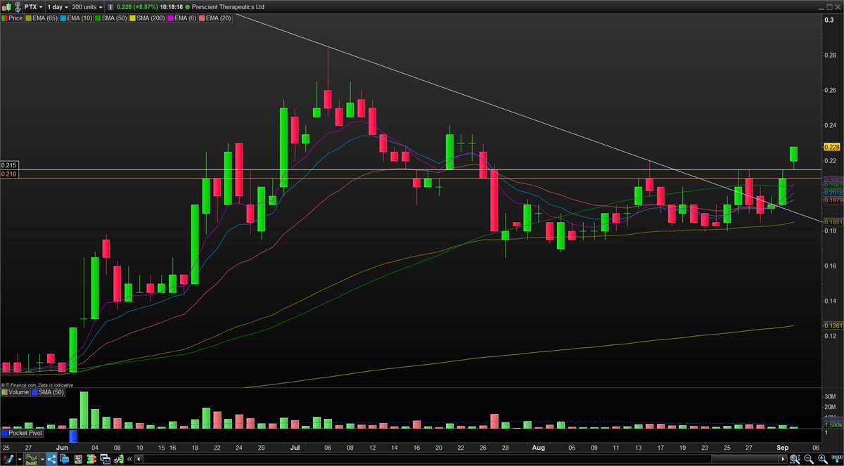 AlwinVerbeek's tweet photo. $PTX.ax $PTX I bought a few of these near the close yesterday at 21. Working nicely today. Coming out of a nice volatility contraction pattern https://t.co/bvJsb71E4g