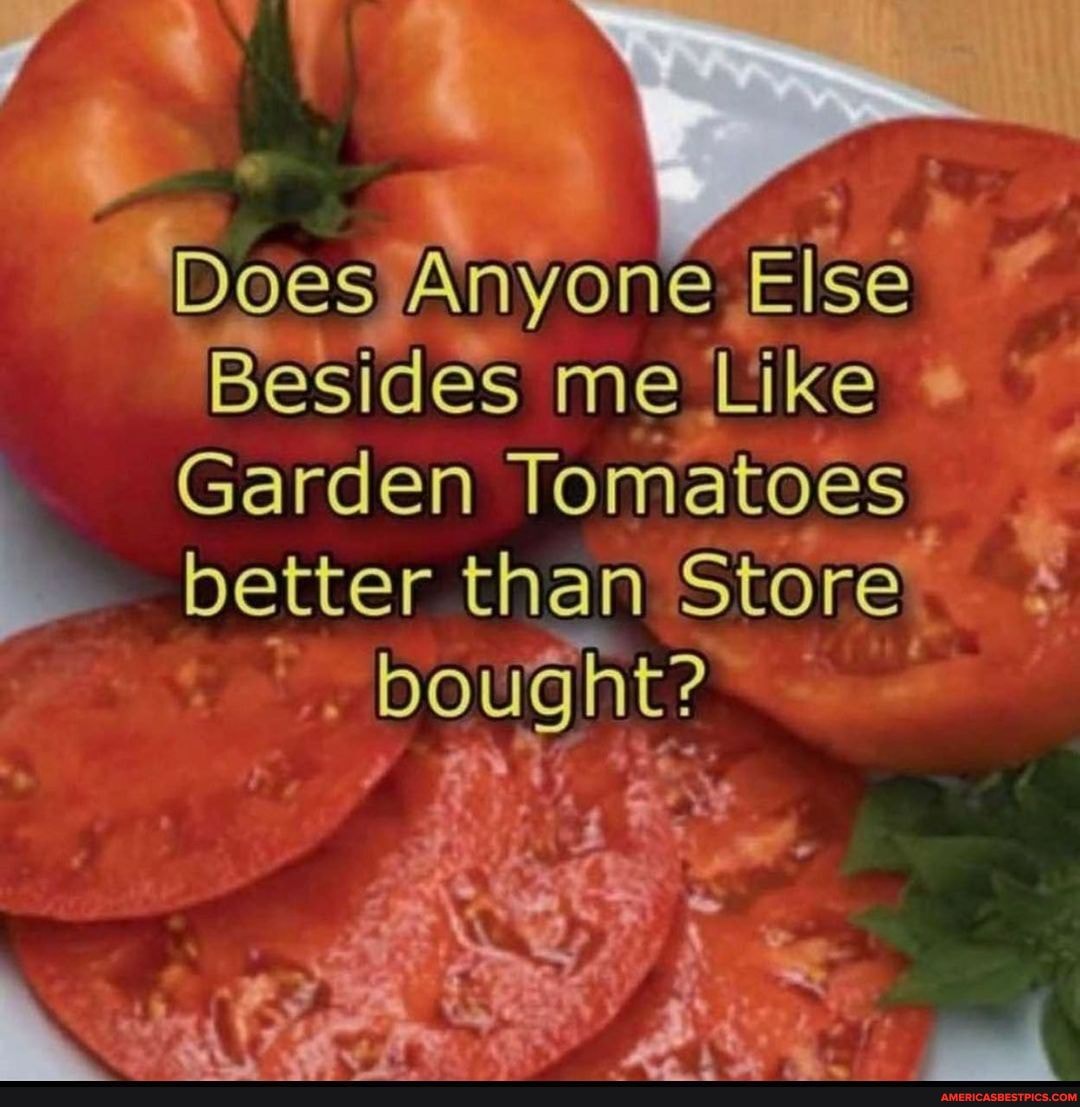 JupiterRising10's tweet image. #does #else #besides 
americasbestpics.com/picture/0AAGo0…
#AmericasBestPicsAndVideos