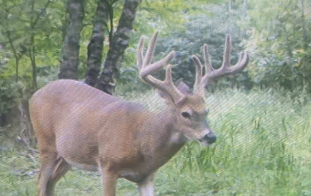 smalltownhunter's tweet photo. Bow Season is just a couple weeks away here in MN! One thing we’re realizing here at STH is cherish those moments in the stand and also with your family! We wish everyone a great hunting season! https://t.co/9VzFWMTRIB