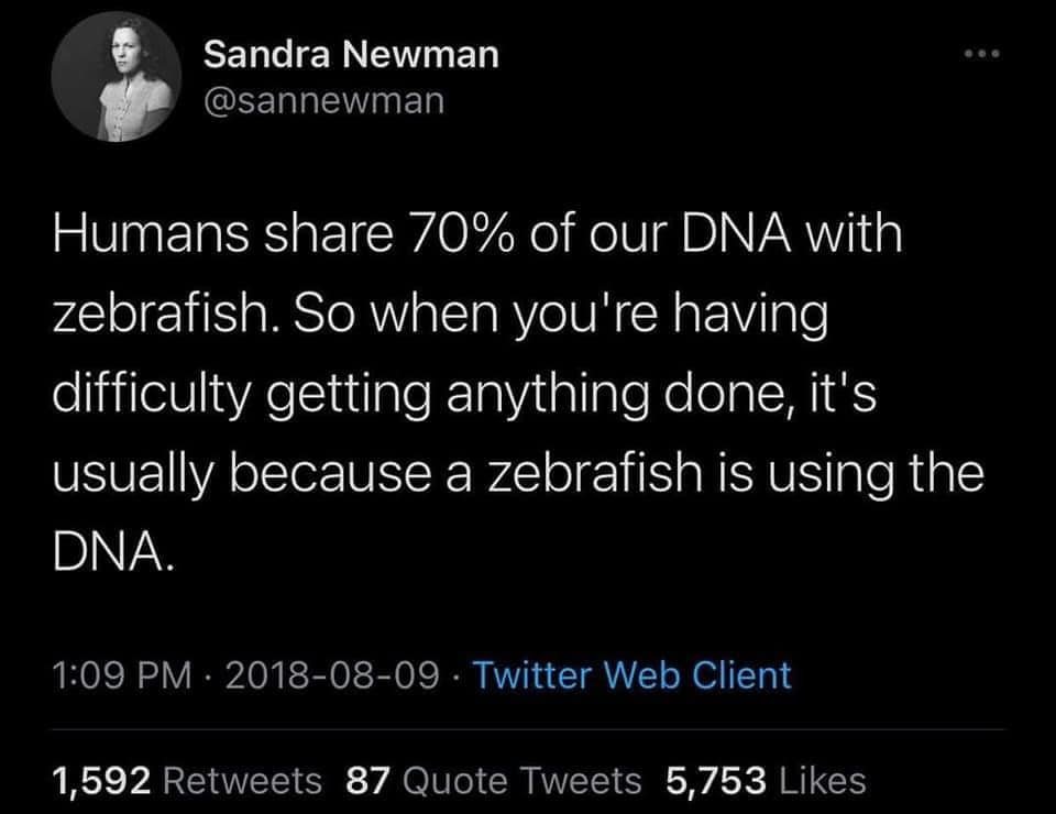 MemesVermiform's tweet photo. https://t.co/7gV1WTqdPz