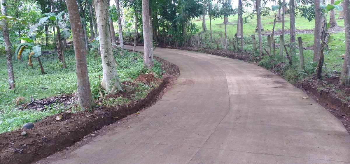 dswdfo10's tweet photo. In Purok San Jose, Brgy. Poblacion, Sinacaban, Misamis Occidental, the concreting of 0.185 km barangay access road was made possible through the Kapangyarihan at Kaunlaran sa Barangay (KKB) program.

#DSWDMayMalasakit
#DSWDKalingaAtPagmamahal
#KalahiDYES https://t.co/zYqRGhTSFv
