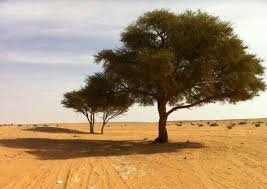 careless tweet media