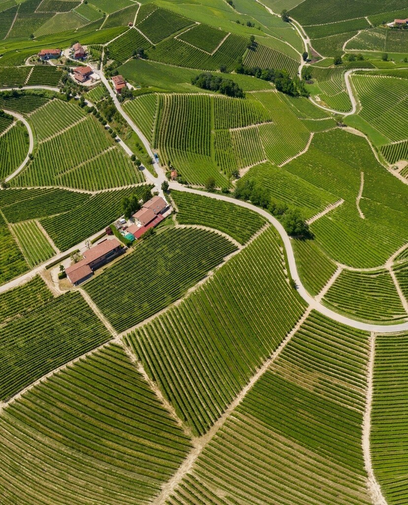 WineCountry's tweet photo. The rolling, vine-dotted hills of Italy wine country. Have you been?
📷 @cerettowinery #cerretowinery #langhe #langheroero #langheexperience #winelovers #barolo #barbaresco #nebbiolo #blange #winecellar #winecountry #visitwinecountry #winet… https://t.co/6cKCRlKJFQ https://t.co/9uwzbFm2PE