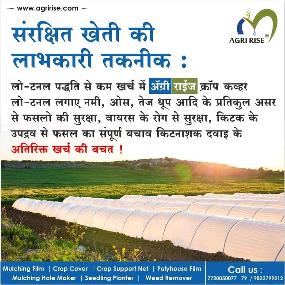 agririse's tweet photo. Protective farming now can started with smaller investment 
#Plasticulture #ProtectiveFarming #CropCover #Neursery #LowTunnel #Agririse 

@FALIAgriculture @icarindia @ICRISAT @vishalgame @nstomar @AjitJisl @JainIrrigation https://t.co/EDzFPYEEum