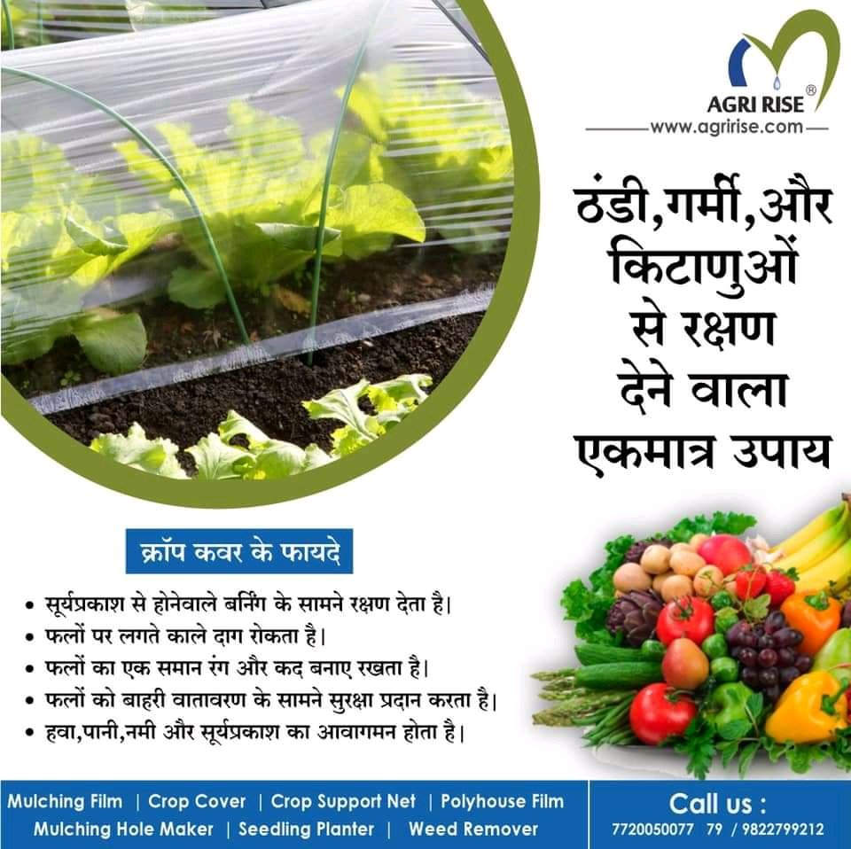 agririse's tweet photo. Protective farming now can started with smaller investment 
#Plasticulture #ProtectiveFarming #CropCover #Neursery #LowTunnel #Agririse 

@FALIAgriculture @icarindia @ICRISAT @vishalgame @nstomar @AjitJisl @JainIrrigation https://t.co/EDzFPYEEum