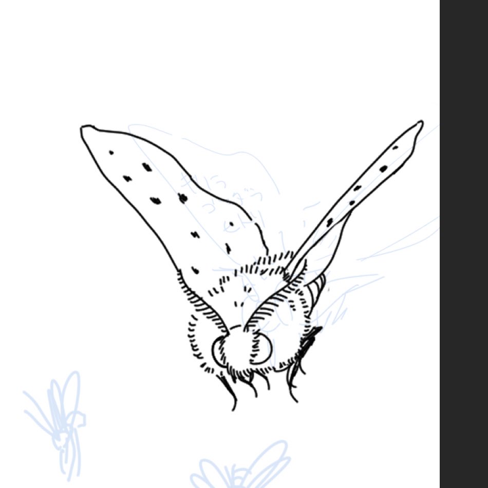 この海で1番虫を描いた奴がムシキングだ 