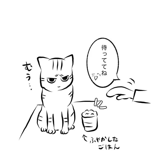 人間嫌いな猫様のお食事タイムに現れた敵。その瞬間の猫様の行動とは…!?【連載】交通事故にあった猫を拾いました#31|ねこのきもちWEB MAGAZINE https://t.co/syRweh8Orh 