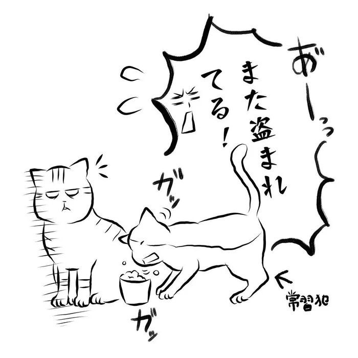 人間嫌いな猫様のお食事タイムに現れた敵。その瞬間の猫様の行動とは…!?【連載】交通事故にあった猫を拾いました#31|ねこのきもちWEB MAGAZINE https://t.co/syRweh8Orh 