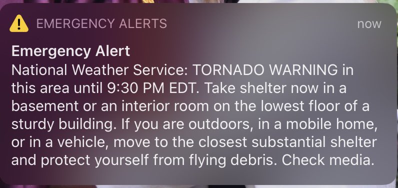 Phoebe Li tweet media