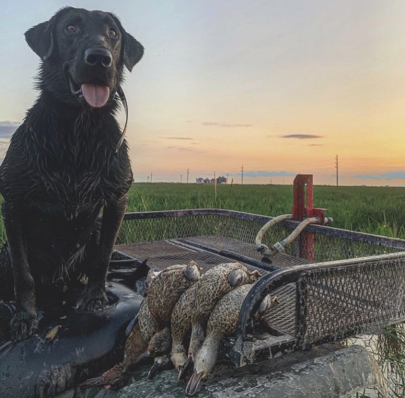 rthib69's tweet photo. Teal season is upon us! https://t.co/ATMPSRLQCl