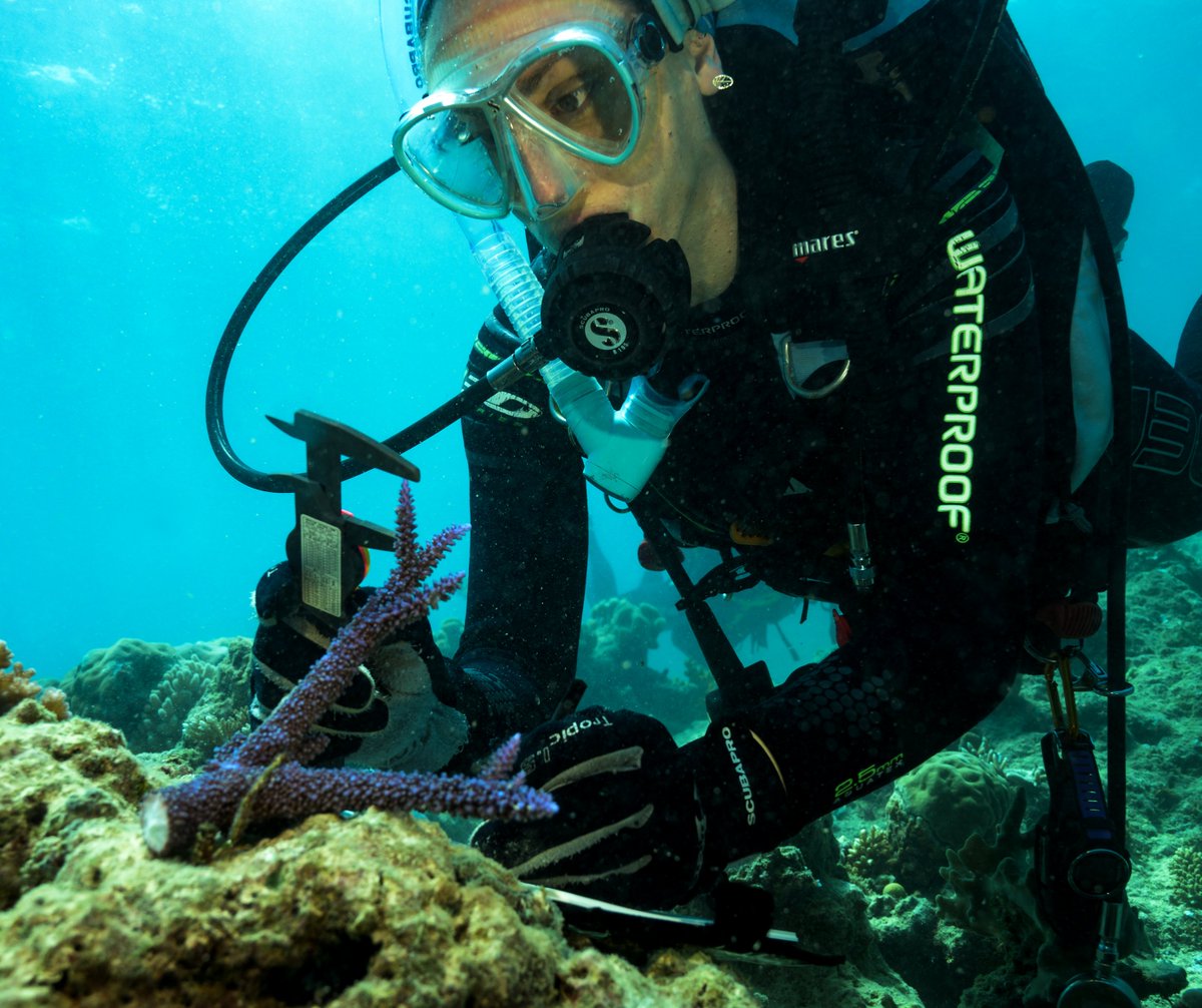 UTS Science tweet media