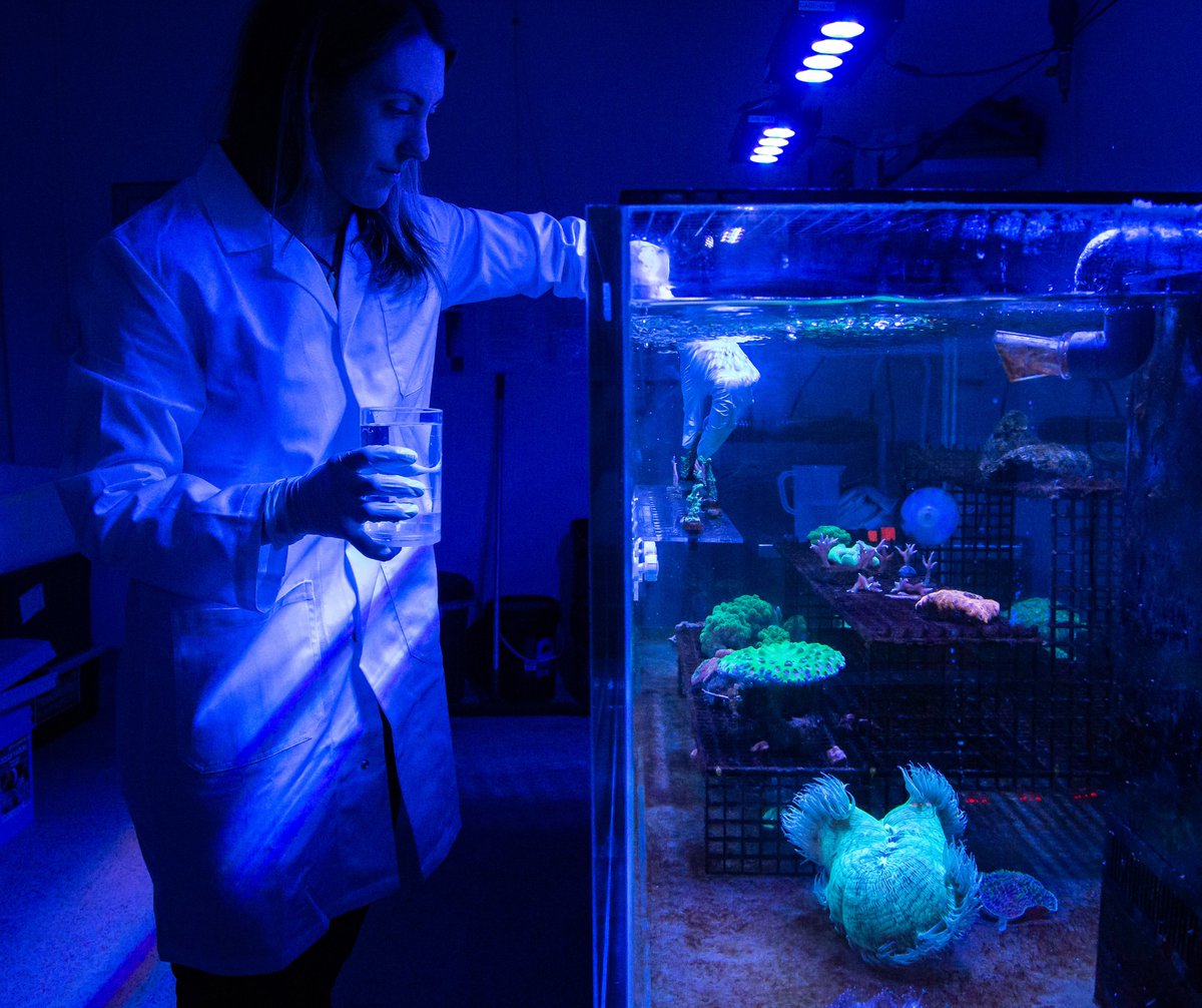 UTS Science tweet media