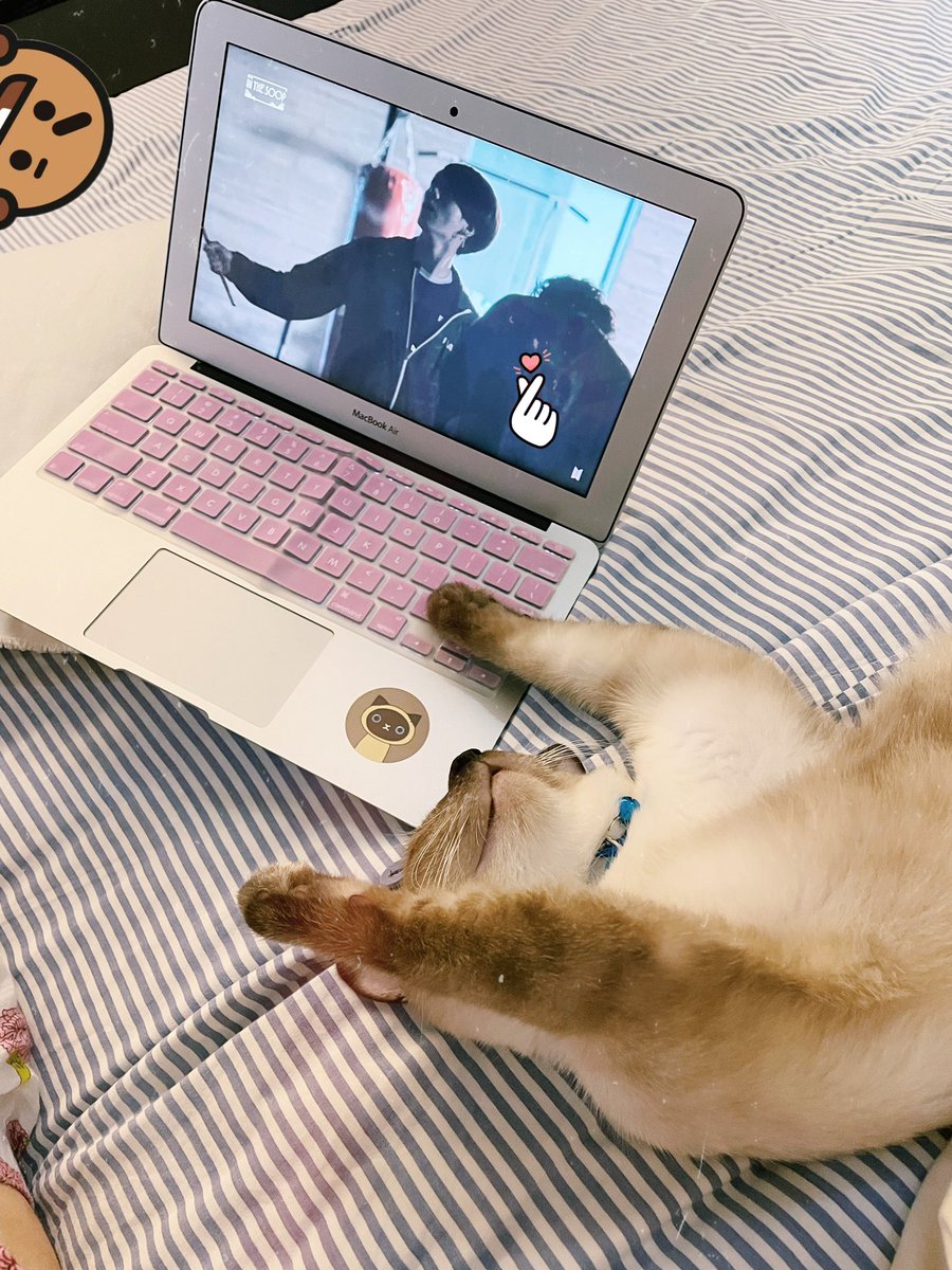 katrinahaha's tweet photo. @INTHESOOP_TV Meow can’t wait! https://t.co/Ur14nXB8gf