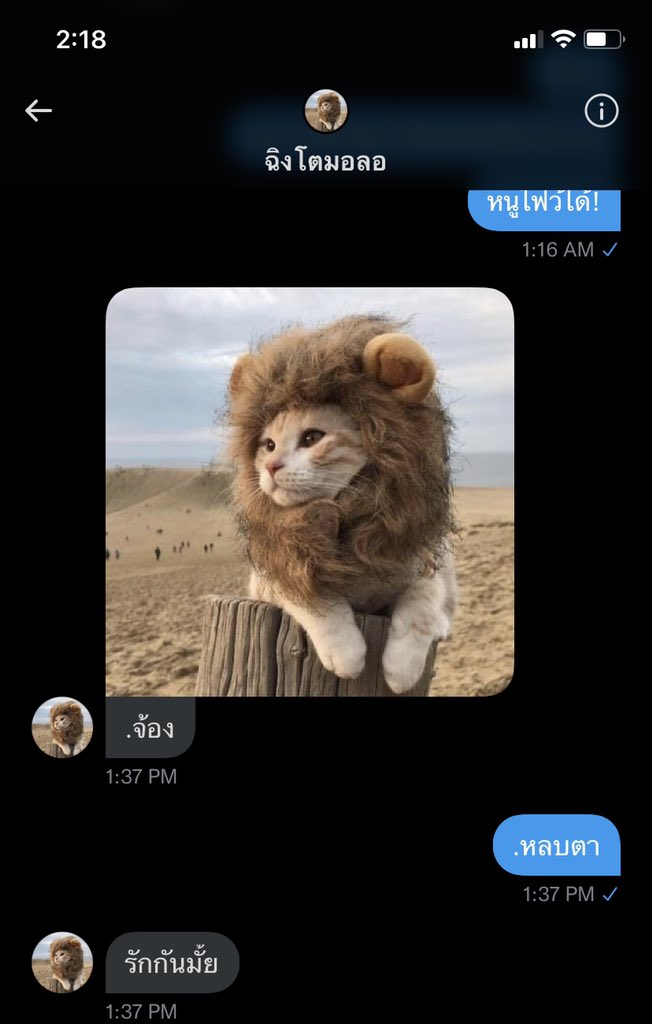 แซลม่อนที่ไม่ใช่ปลาส้ม tweet media