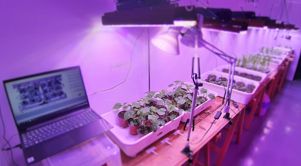 isc3centre's tweet photo. Checkout our new #startupofthemonth article on #INBIOAR! Learn how the Argentina-based biochemical has been able to obtain several biodegradable products for crop protection while respecting the importance of understanding the local environment. Read on: https://t.co/ngd9znLVHm https://t.co/2u2fGdcLCd