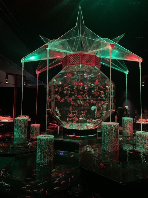 ピンポンパールのtwitterイラスト検索結果