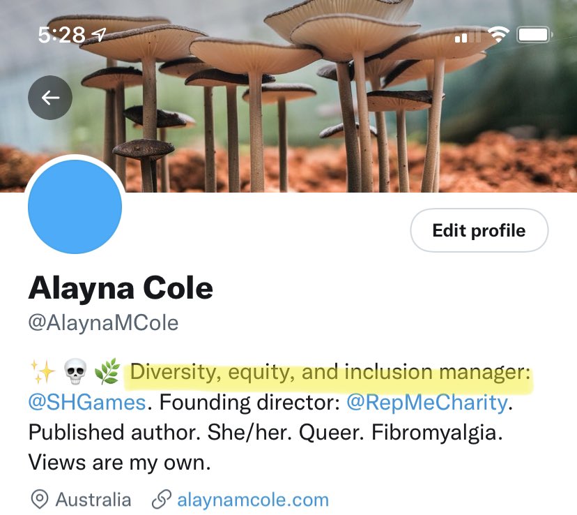 Twitter bio with new role highlighted: “diversity equity and inclusion manager” at Sledgehammer Games.